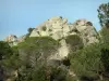 Landschaften des Languedoc - Felsen und Sträucher