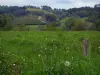 Landschaften vom Limousin