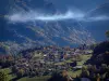 Landschaften der Savoie im Herbst