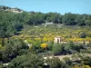 Landschappen van de Provence - Gebouw, bomen en vegetatie