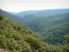 Landschappen van de Provence - Heuvels bedekt met bossen