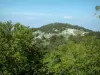 Landschappen van de Provence - Bomen en heuvel