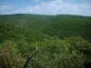 Landschappen van de Provence - Bomen en heuvels bedekt met bossen