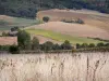 Landschappen van de Tarn-et-Garonne