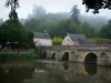 Lavardin - Gotische Brücke überspannt den Fluss (der Loir), Häuser des Dorfes, Bäume und Ruinen des Schlosses, die die Gesamtheit beherrschen