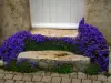 Lavardin - Kleine Stufe mit Blumen eines Hauseinganges