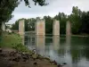 Lussac-les-Châteaux - Pond, batterie del ponte levatoio del castello (resti) il germano reale sulle shore, alberi e case