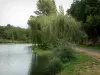 Lussac-les-Châteaux - Pond, gli alberi lungo il lato acqua con tavoli pic-nic e