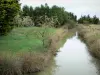Marais breton vendéen - Petit canal (voie d'eau) bordé d'arbres et de prés