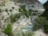 Méouge gorges - Méouge river, cliffs, trees and rock faces