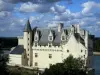 Montsoreau城堡