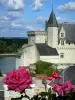 Montsoreau - Tourism, holidays & weekends guide in the Maine-et-Loire