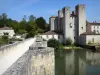 Moulin de Barbaste - Vieux pont roman sur la rivière Gélise et moulin fortifié d'Henri IV (moulin des Tours) au bord de l'eau ; dans le Pays d'Albret