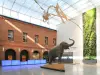 The Museum of Toulouse - Tourism, holidays & weekends guide in the Haute-Garonne