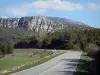 Napoleon road - Napoleon road lined with prairies, trees, rock faces and hills; in the Verdon Regional Nature Park