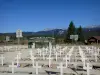 Nekropole des Widerstands in Vassieux-en-Vercors - Gräber des Militärfriedhofs des Widerstands