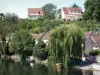 Nemours - Banks of the River Loing, houses and trees along the water