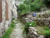 Orpierre - Terrace garden, alley and houses of the village