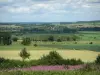 Paesaggi delle Ardenne