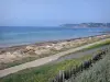 Paesaggi della Normandia - Fiori, spiaggia e il lungomare Barneville-Carteret (Barneville-range) con vista sul mare (il canale), il porto e località di Cape Carteret