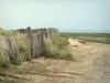 Paesaggi della Normandia - Sandy vicolo che conduce alla baia di Mont Saint-Michel