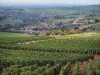 Paisajes de Borgoña del Sur - Viñedos de los viñedos de Mâconnais