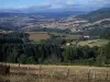 Paisajes de Borgoña del Sur - Pastizales, campos, árboles, colinas y pueblos
