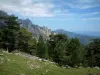 Le Parc Naturel Régional de Corse - Guide tourisme, vacances & week-end en Corse