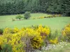 Parque Natural Regional de Millevaches em Limousin