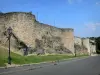 Parthenay - Pareti costellate di fortificazioni (torri) del medievale