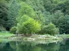 Paysages de l'Ariège - Lac de Bethmale et sa rive plantée d'arbres ; dans le Parc Naturel Régional des Pyrénées Ariégeoises, en Couserans, dans la vallée de Bethmale