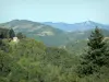 Paysages de l'Ariège - Collines couvertes d'arbres et de prés