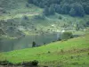 Paysages de l'Ariège - Étang de Lers et ses rives ; dans le Parc Naturel Régional des Pyrénées Ariégeoises, en Couserans, sur la commune de Le Port