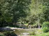 Paysages de l'Ariège - Vallée d'Orlu (vallée de l'Oriège) : rivière Oriège bordée d'arbres