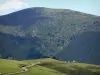 Paysages de l'Ariège - Route du Port de Lers avec vue sur la montagne ; dans le Parc Naturel Régional des Pyrénées Ariégeoises
