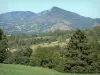 Paysages de l'Ariège - Collines couvertes d'arbres, de prés et de champs