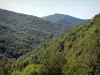 Paysages de l'Ariège - Massif de l'Arize : collines tapissées de forêts ; dans le Parc Naturel Régional des Pyrénées Ariégeoises