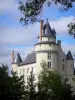 Plessis-Bourré城堡