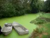 Poitou Sumpf - Feuchter Sumpf: Kleiner Kanal der Venise Verte mit Barken, in Maillezais