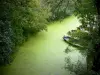 Poitou Sumpf - Feuchter Sumpf: Kleiner Kanal der Venise Verte umgeben von Bäumen, in Maillezais