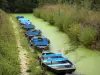 Poitou Sumpf - Feuchter Sumpf: Kleiner Kanal der Venise Verte mit angelegten Barken, in Maillezais