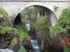 Ponte da espanha - Sítio natural da Pont d'Espagne: ponte de pedra que atravessa o rio, rio rodeado de rochas; no Parque Nacional dos Pirenéus, no município de Cauterets