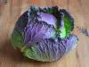 Pontoise cabbage - Gastronomy, holidays & weekends guide in the Val-d'Oise
