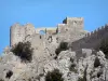 Puilaurens城堡