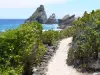 Punta dei Castelli - Viale di vegetazione che si affaccia sul bordo roccioso dell'Oceano Atlantico e Castelli
