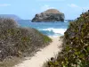 Punta dei Castelli - Viale di vegetazione che domina la roccia e l'Oceano Atlantico