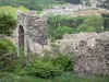 Rochemaure - Torre e mura merlate