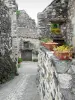Rochemaure - Strada fiancheggiata da case in pietra