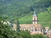 La route des Vins d'Alsace - Guide tourisme, vacances & week-end dans le Grand Est