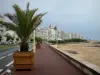 Les Sables-d'Olonne - Promenade agrémentée de palmiers, plage, rue et immeubles de la station balnéaire